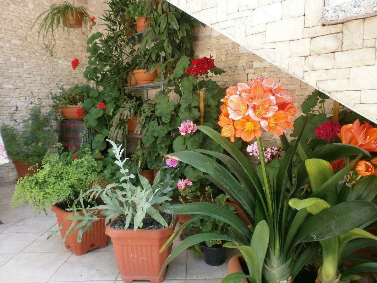 Villa Vrancic 罗维尼 外观 照片