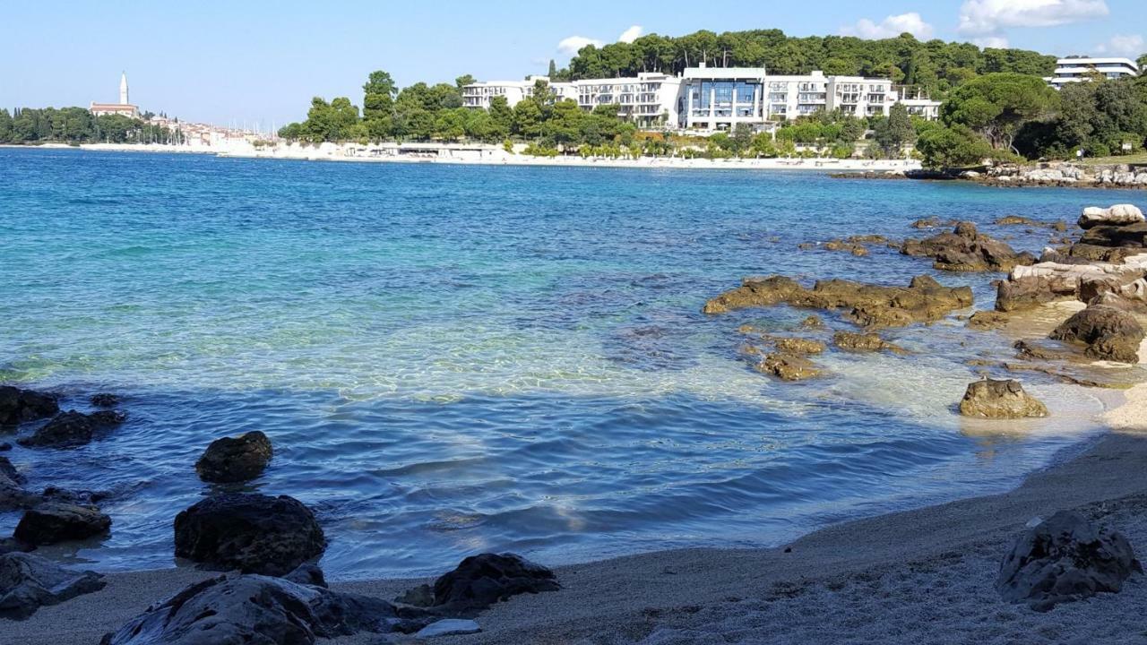 Villa Vrancic 罗维尼 外观 照片