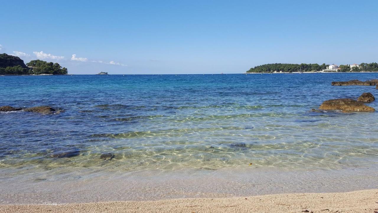 Villa Vrancic 罗维尼 外观 照片