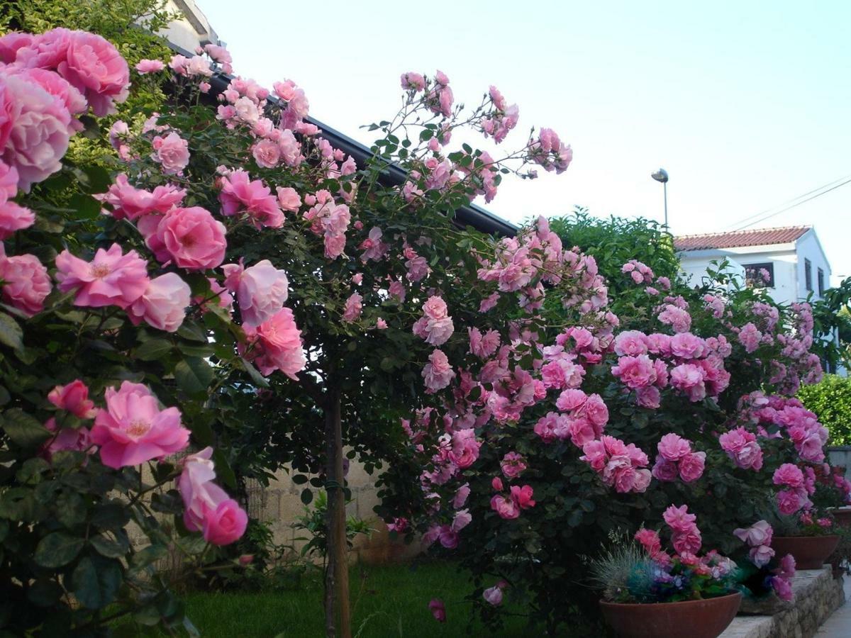 Villa Vrancic 罗维尼 外观 照片