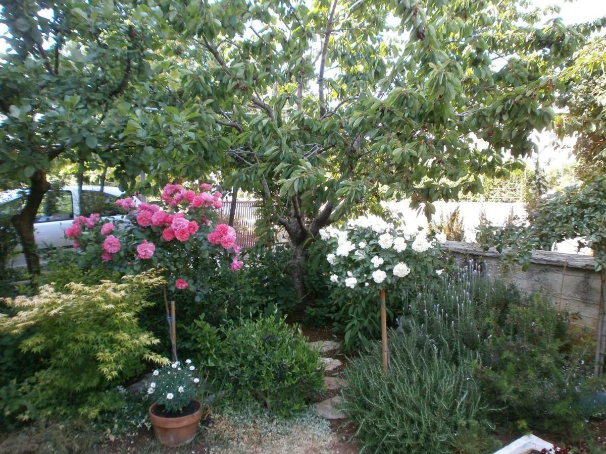 Villa Vrancic 罗维尼 外观 照片
