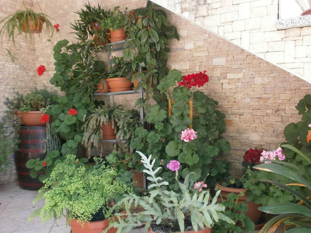 Villa Vrancic 罗维尼 外观 照片