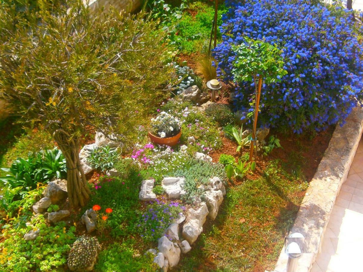 Villa Vrancic 罗维尼 外观 照片