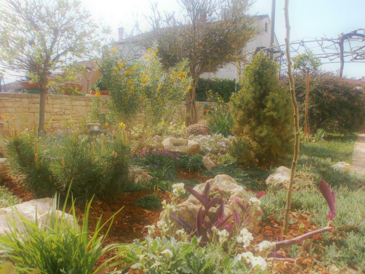 Villa Vrancic 罗维尼 外观 照片